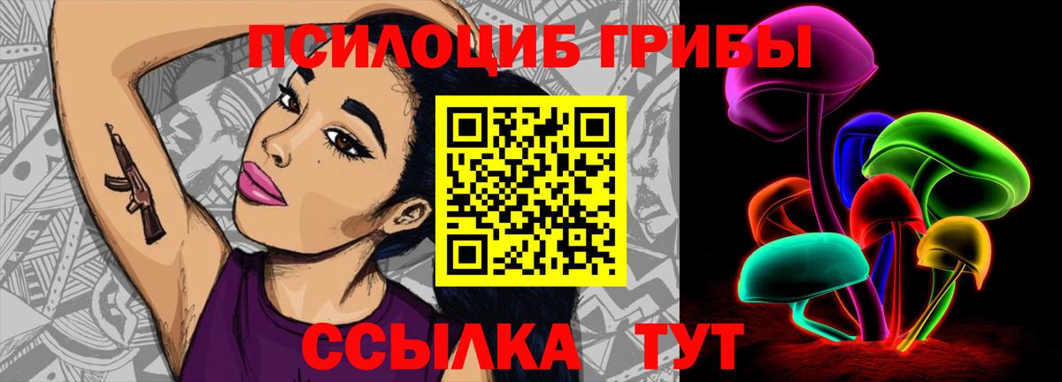 Псилоцибиновые грибы Psilocybe  Вход с VPN  Белая Калитва 
